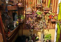 Casa en calle Mamalluca sector Sauce Miramar Coquimbo — foto 17
